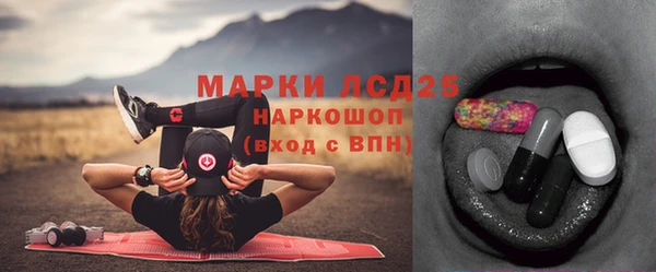 прущие грибы Балахна