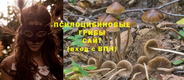 метадон Армянск
