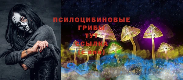 шишки Баксан