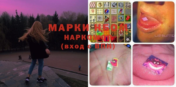 прущие грибы Балахна