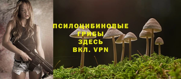 метадон Армянск