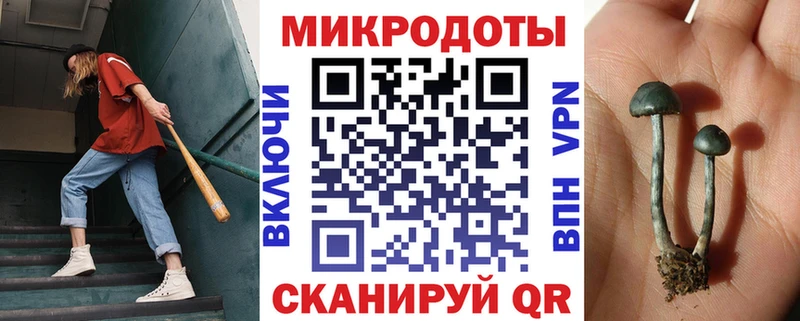 Псилоцибиновые грибы мухоморы  магазин продажи   Пошехонье 